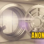 maine anon vault