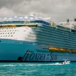 wonder of the seas fight